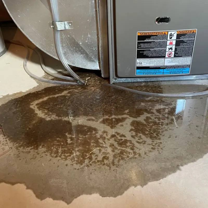 Pipe Burst and Leak Restoration in Fort Bliss, TX