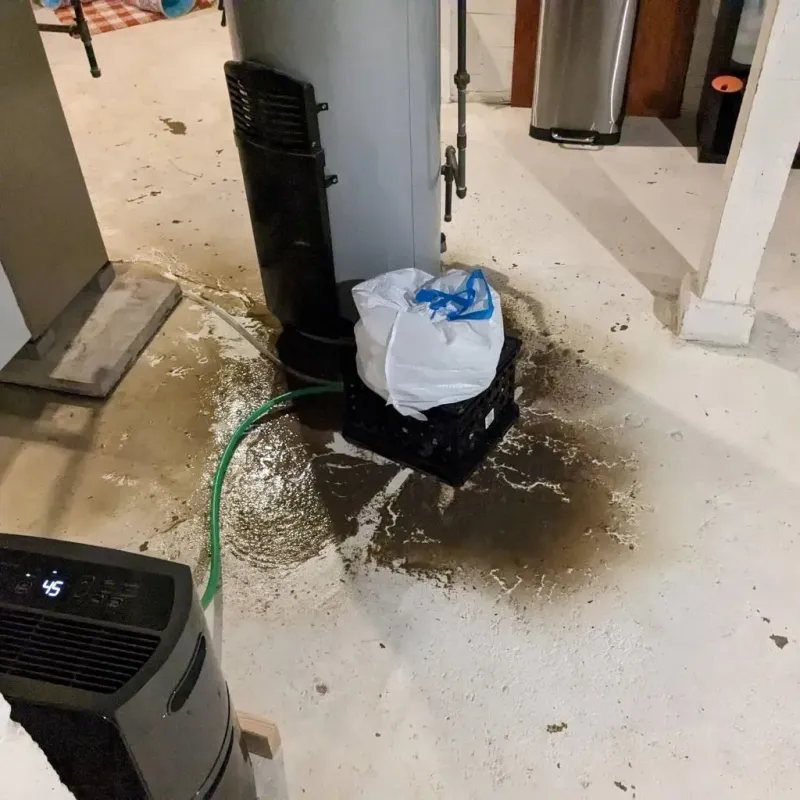 Sewage Backup Cleanup Service in Fort Bliss, TX